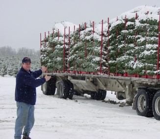 From one third of a trailer to multiple loads 
