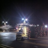 Palatalized Christmas trees 
